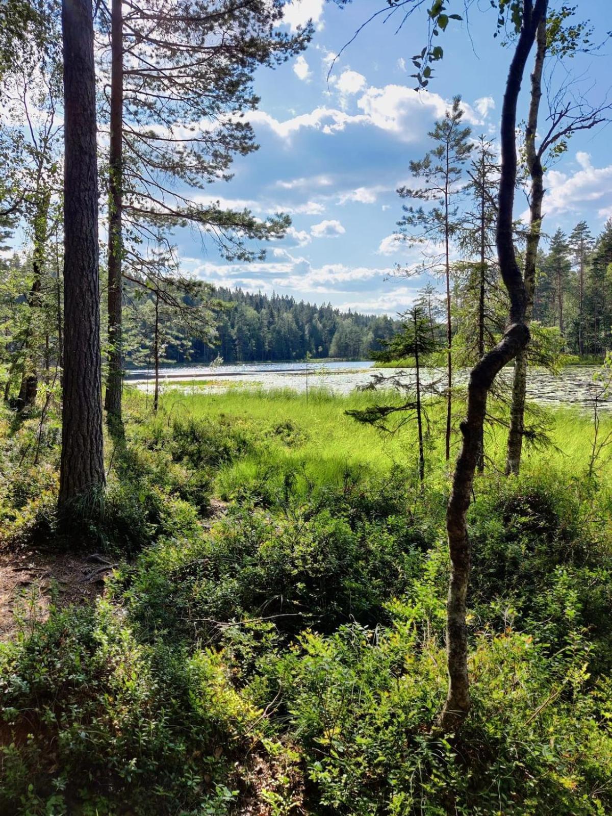 Hirsimoekki Kansallispuistossa Espoo